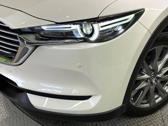 Mazda CX-8 2019-06 182687-12