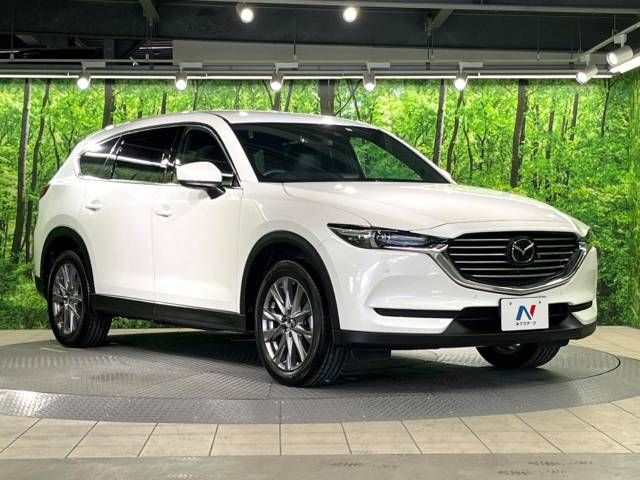 Mazda CX-8 2019-06 182687-16