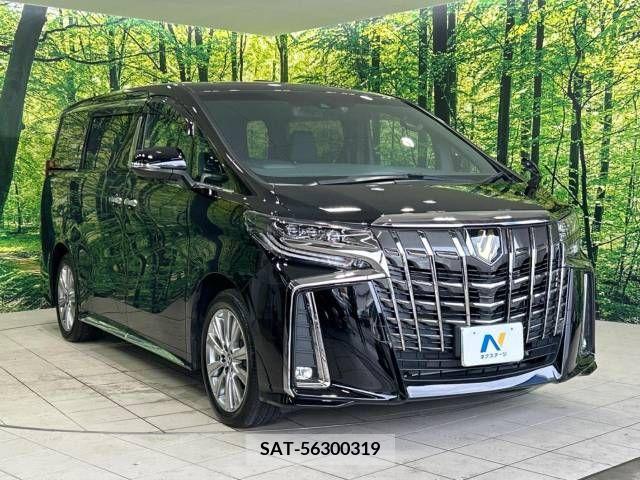 Toyota ALPHARD 2022-11 333216-17