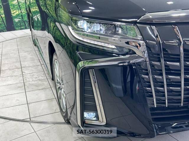 Toyota ALPHARD 2022-11 333216-13