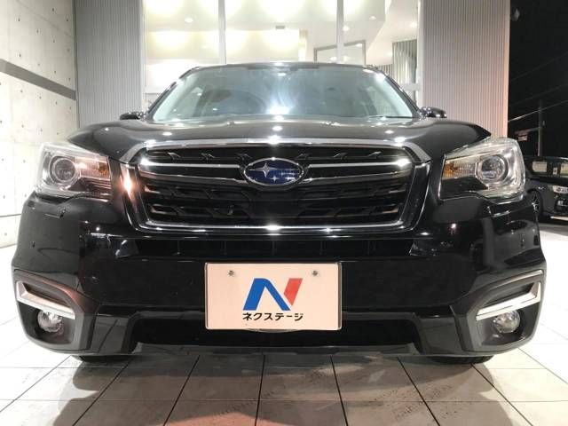 Subaru FORESTER 2017-01 195693-15