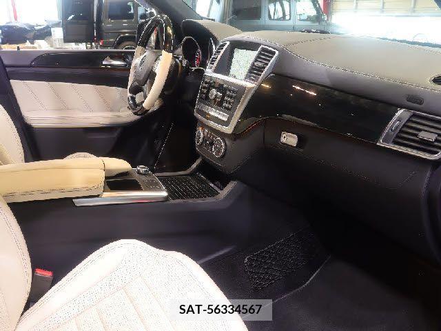 Amg GL 2016-03 341319-6