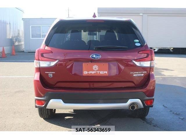 Subaru FORESTER 2019-04 224066-8