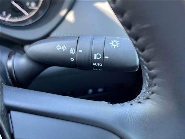 Toyota HARRIER 2021-06 14979-16