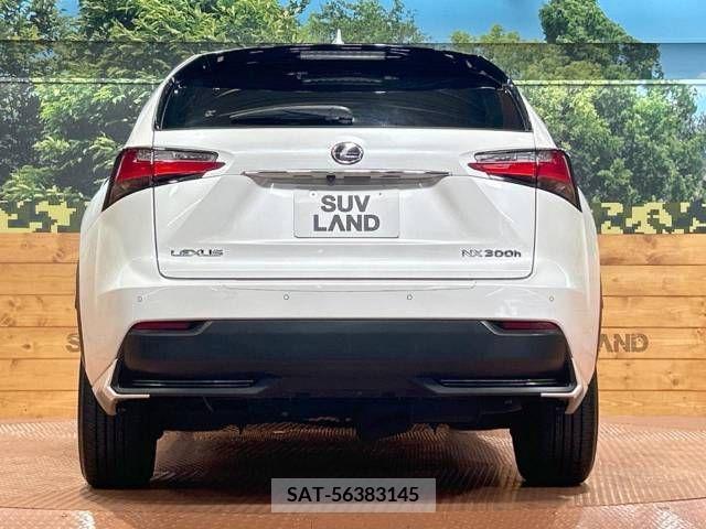 Lexus NX 2015-08 362947-15