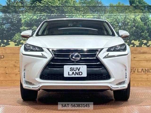 Lexus NX 2015-08 362947-14