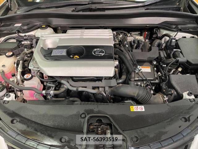 Lexus UX 2018-12 222817-18