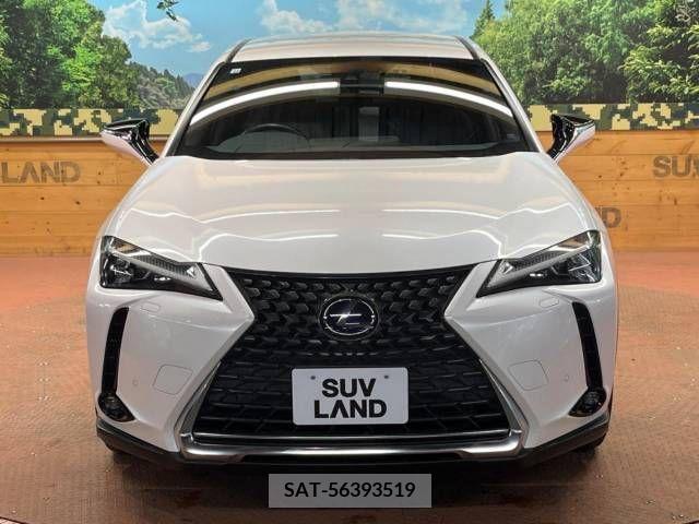Lexus UX 2018-12 222817-16