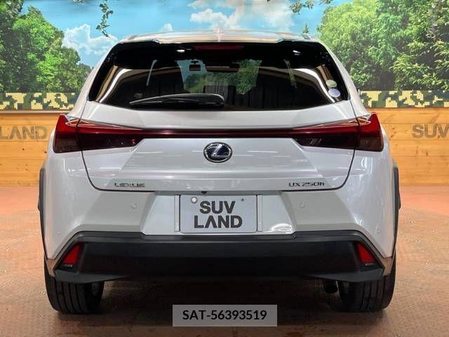 Lexus UX 2018-12 222817-17