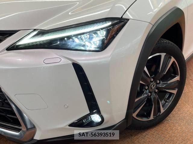 Lexus UX 2018-12 222817-14