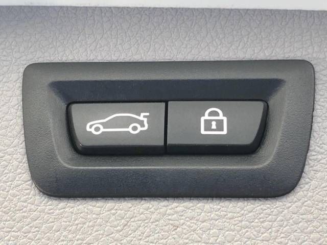 Bmw 3 SERIES 2017-04 183495-7