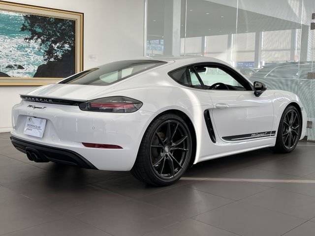 Porsche CAYMAN 2022-06 22871-6