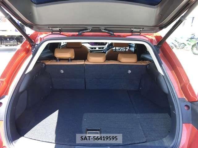 Lexus UX 2019-10 326659-8