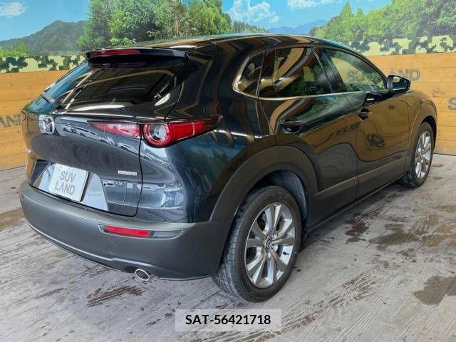 Mazda CX-30 2022-03 265594-16