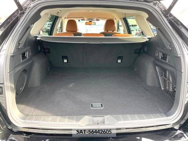 Subaru OUTBACK 2022-01 225132-10