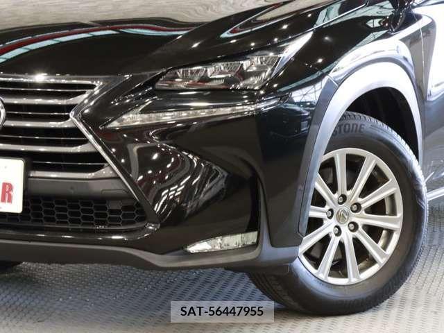 Lexus NX 2014-11 275588-14