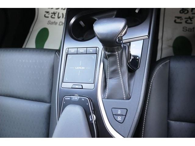 Lexus UX 2018-11 6558-17