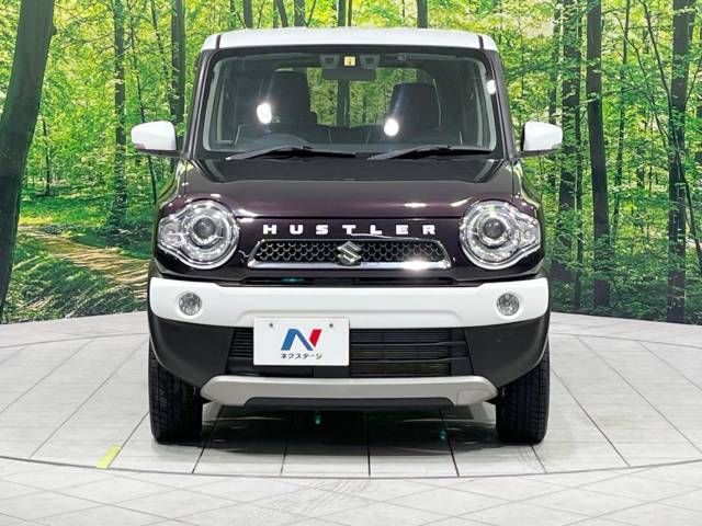 Suzuki HUSTLER 2017-04 189710-14