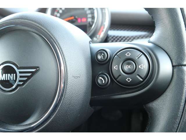 Bmw MINI 2019-03 4100-12
