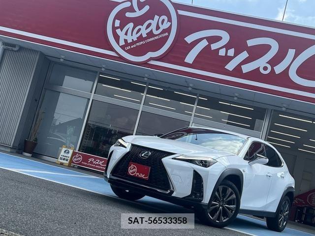 Lexus UX 2023-02 354236-3