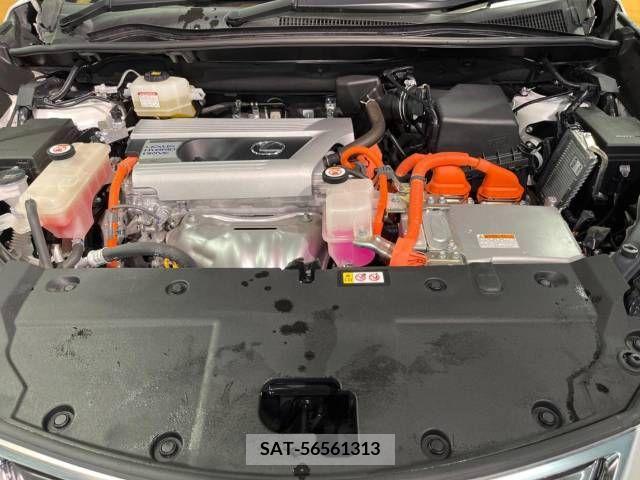 Lexus NX 2019-08 300559-18