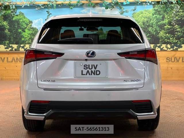 Lexus NX 2019-08 300559-17