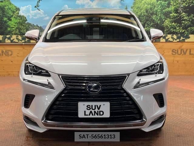 Lexus NX 2019-08 300559-16