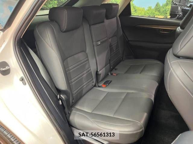 Lexus NX 2019-08 300559-12