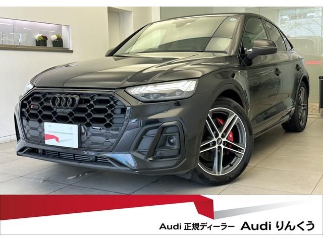 Audi SQ5 2022-03 18210-0
