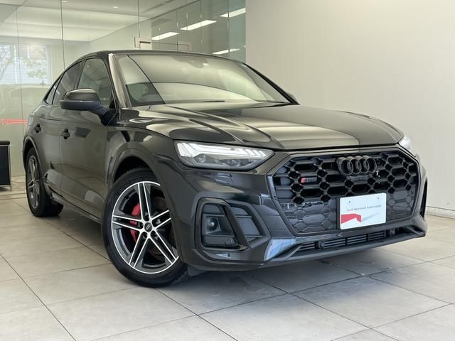 Audi SQ5 2022-03 18210-4