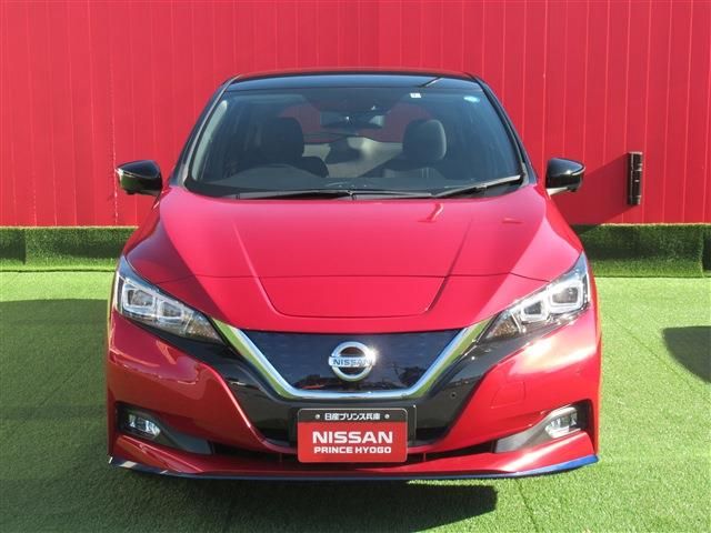 Nissan LEAF 2020-09 185683-28