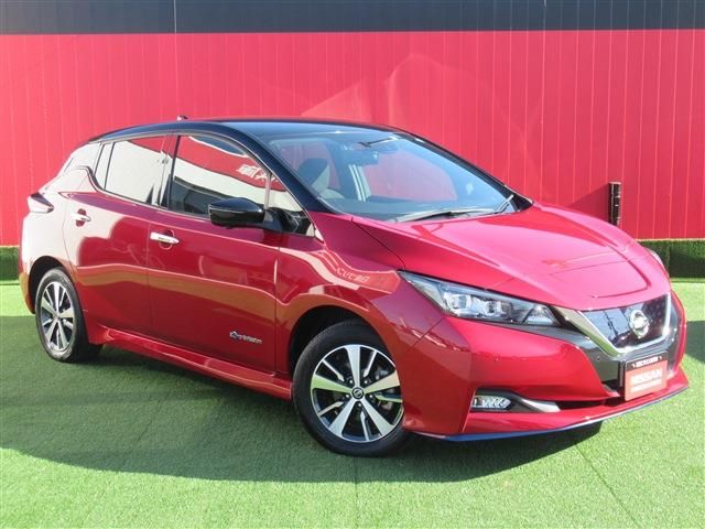 Nissan LEAF 2020-09 185683-0