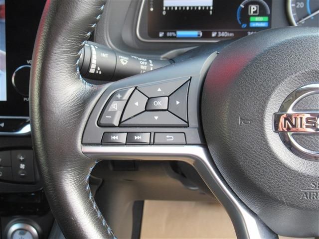 Nissan LEAF 2020-09 185683-19