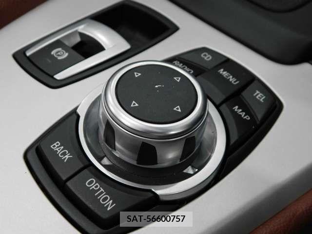 Bmw Z4 2011-05 318795-17