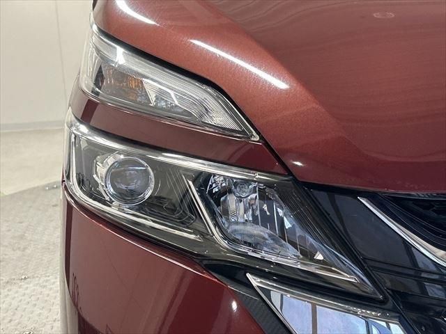 Nissan SERENA 2019-01 195000-9