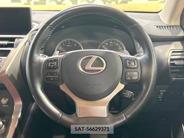 Lexus NX 2019-01 299744-11