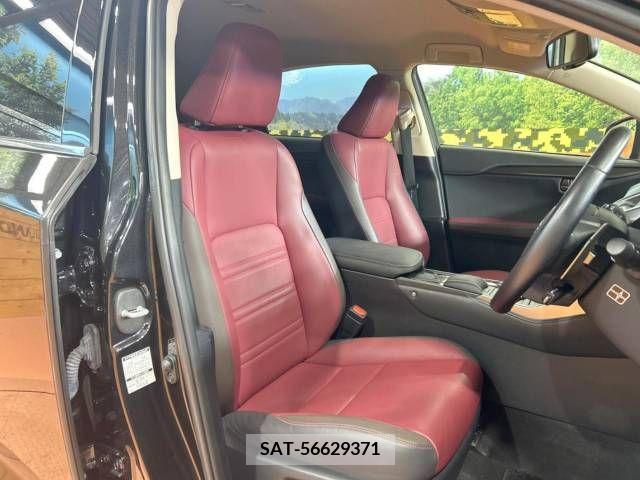 Lexus NX 2019-01 299744-8