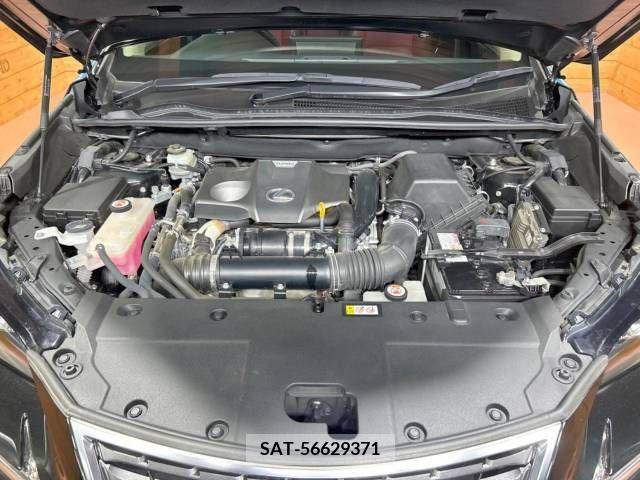 Lexus NX 2019-01 299744-18