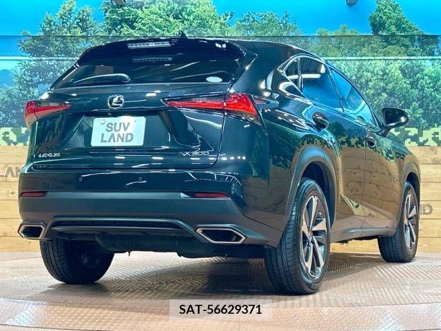 Lexus NX 2019-01 299744-17