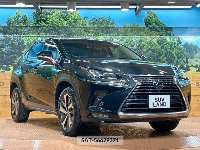 Lexus NX 2019-01 299744-16