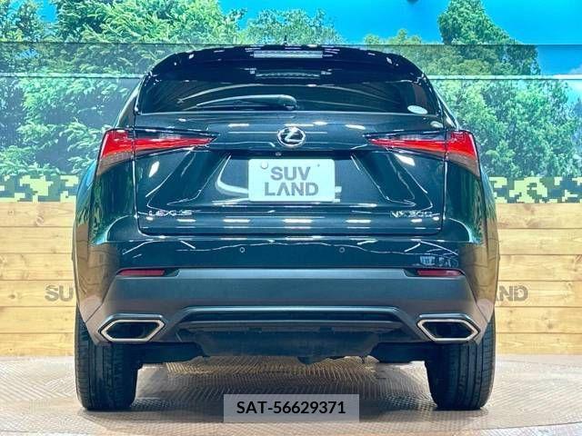 Lexus NX 2019-01 299744-15