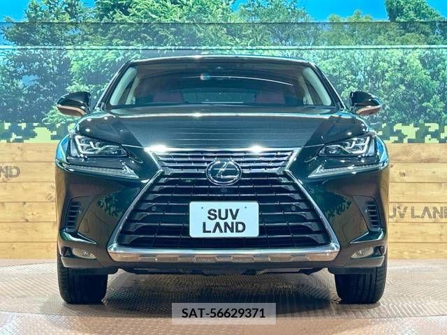 Lexus NX 2019-01 299744-14