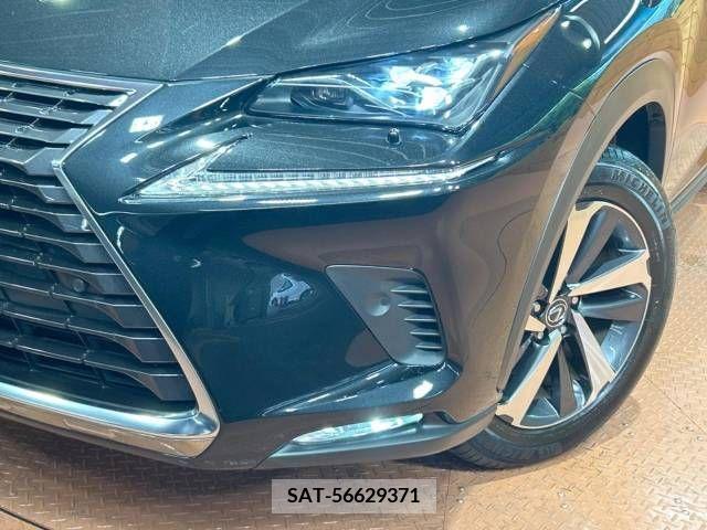 Lexus NX 2019-01 299744-12
