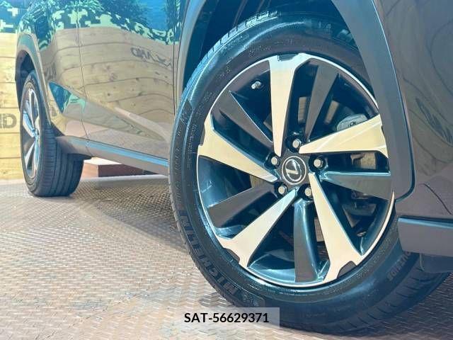 Lexus NX 2019-01 299744-13