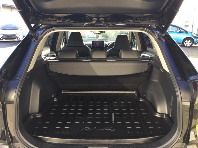 Toyota RAV4 2019-11 18447-11