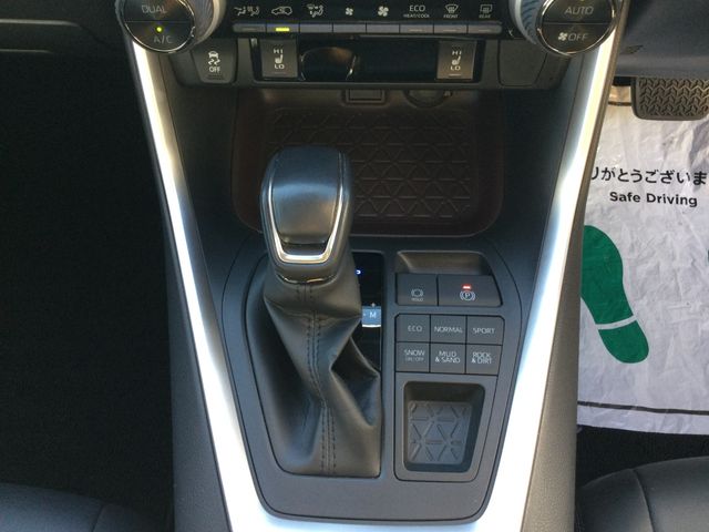 Toyota RAV4 2019-11 18447-14