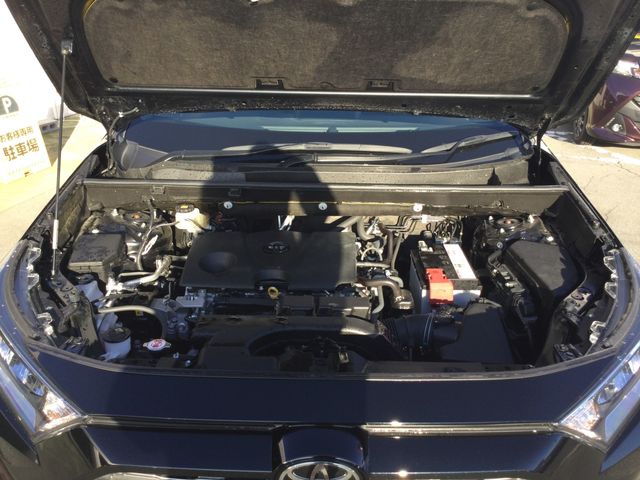 Toyota RAV4 2019-11 18447-18