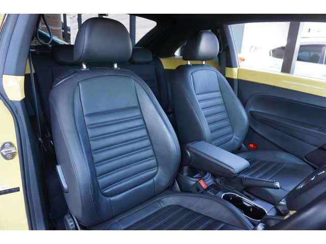 VolksWagen THE BEETLE 2015-07 5877-6