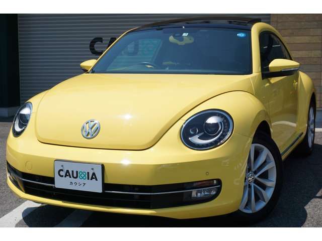 VolksWagen THE BEETLE 2015-07 5877-8