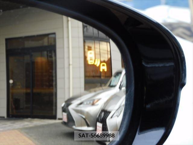 Lexus GS F 2019-06 391835-5